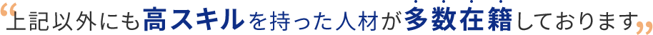 上記以外にも高スキルを持った人材が 多数在籍しております