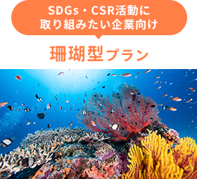 SDGs・CSR活動に 取り組みたい企業向け  珊瑚型プラン