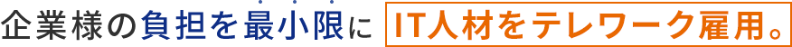 企業様の負担を最小限にIT人材をテレワーク雇用。